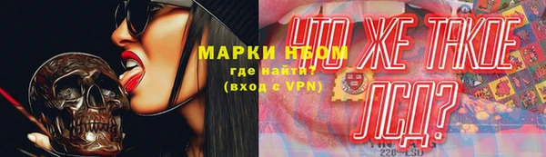 гашик Алексин