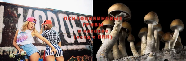не бодяженный Аркадак