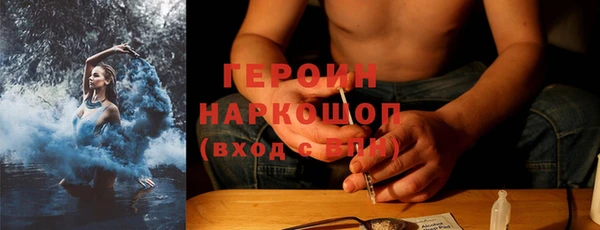 гашик Алексин