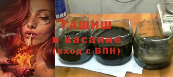 гашик Алексин