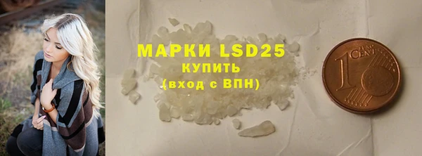 ГАЛЛЮЦИНОГЕННЫЕ ГРИБЫ Ельня