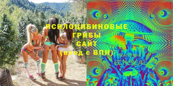 гашик Алексин