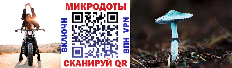 Галлюциногенные грибы Psilocybine cubensis  кракен сайт  Гудермес  где купить наркоту 